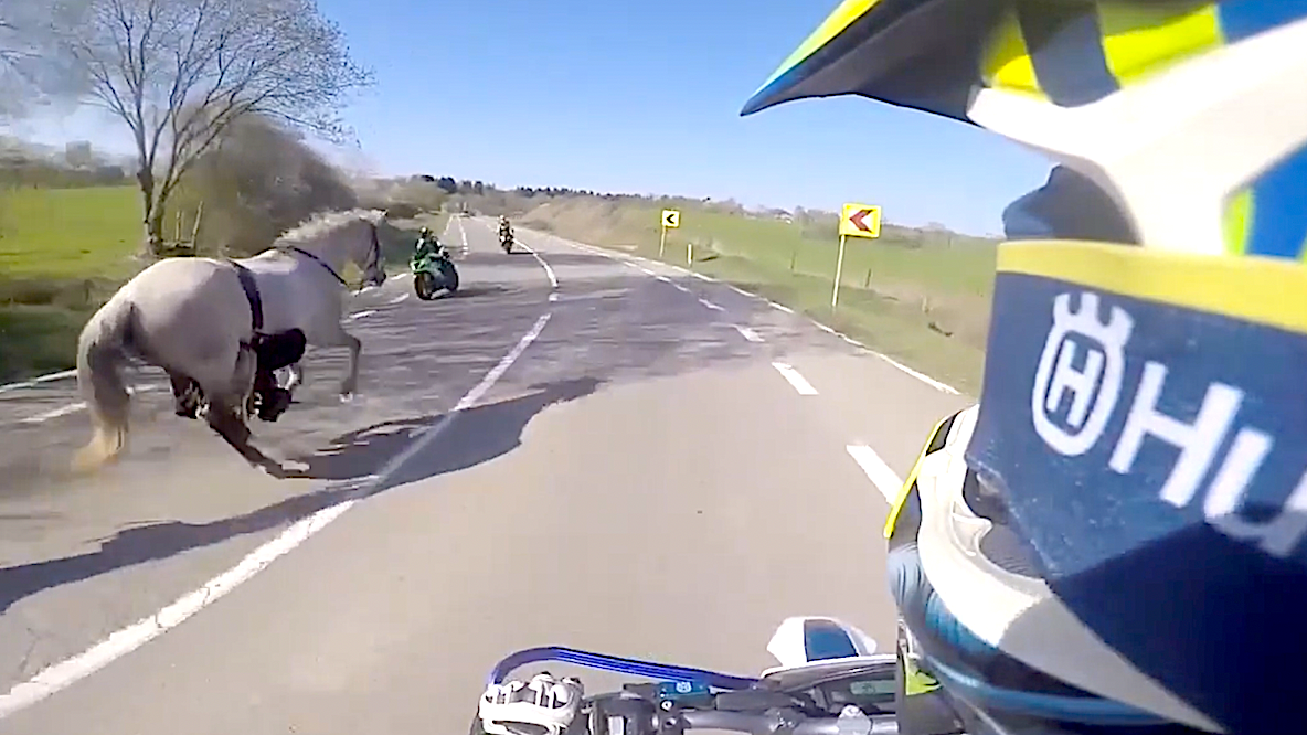 Horse Wrangling on a Motorcycle